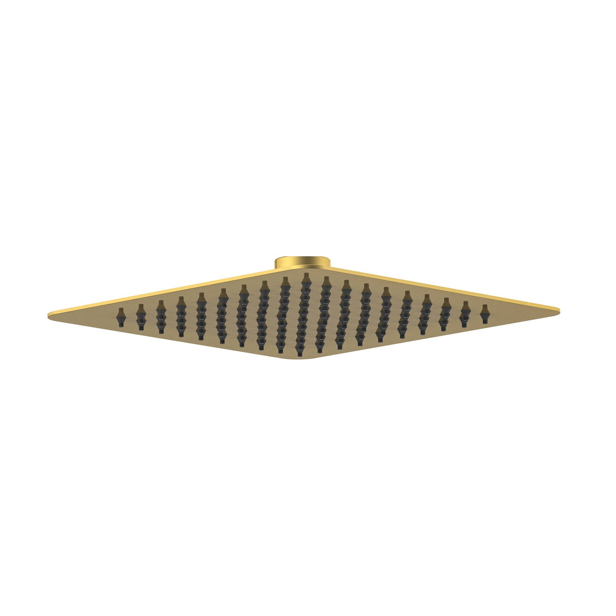 200mm Square Shower Head - Perno Series - Brushed Brass