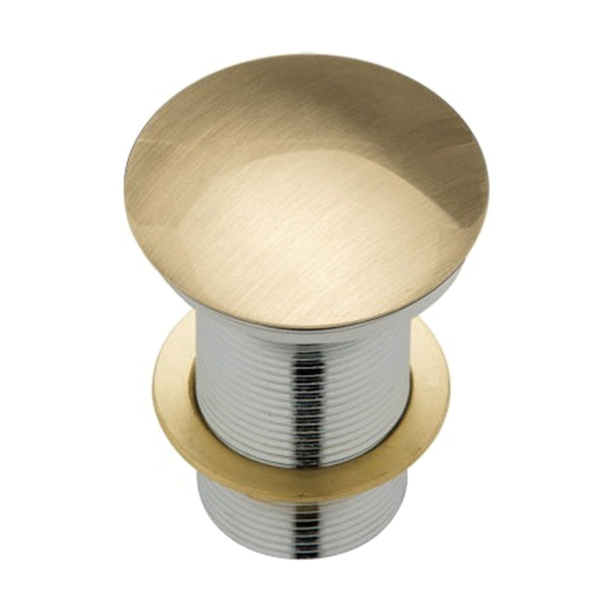 Plug & Waste - Brushed Brass